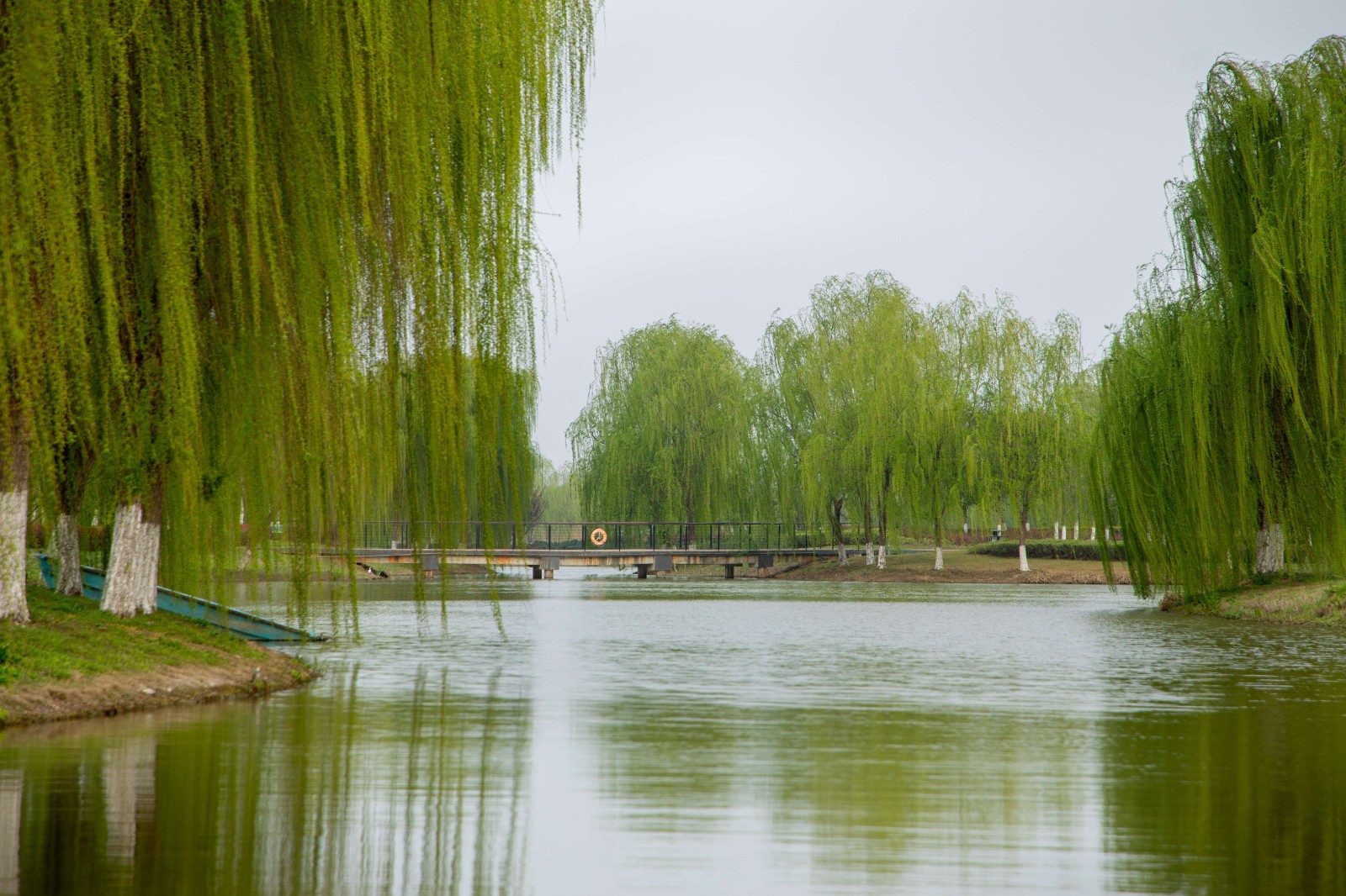 1756436588861114.jpg 1756436588861114.jpg