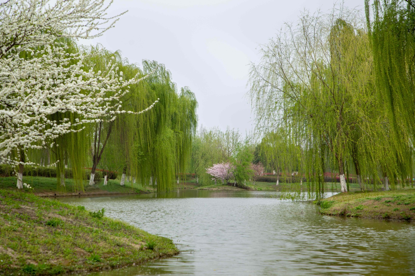 1756436589456817.jpg 1756436589456817.jpg