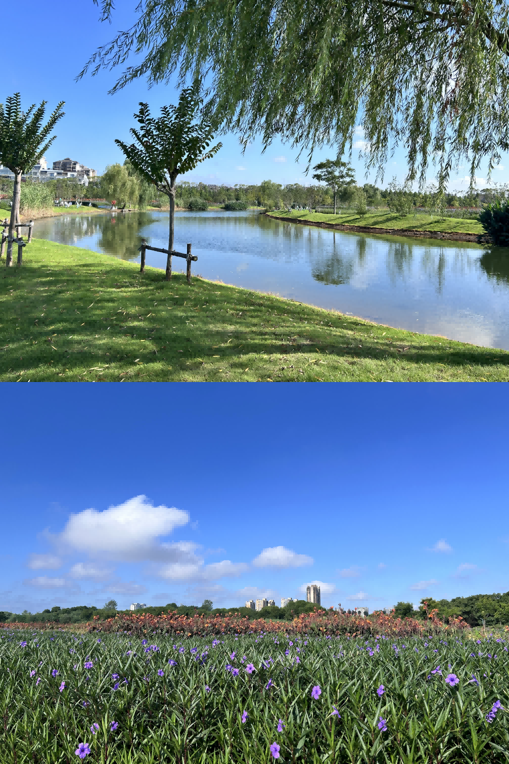 1756612508902893.png 4.png